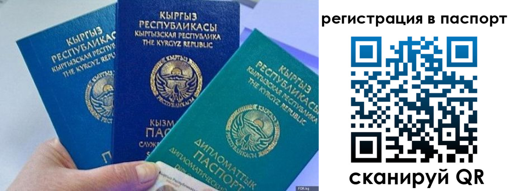 прописка 2025 в Волосово